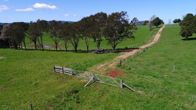 Photo - 94 Mountain Top Road, Dorrigo NSW 2453 - Image 16