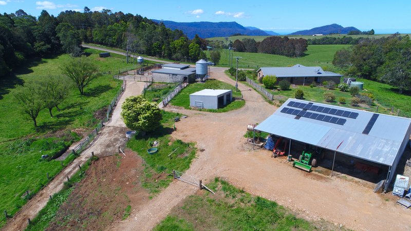 Photo - 94 Mountain Top Road, Dorrigo NSW 2453 - Image 24