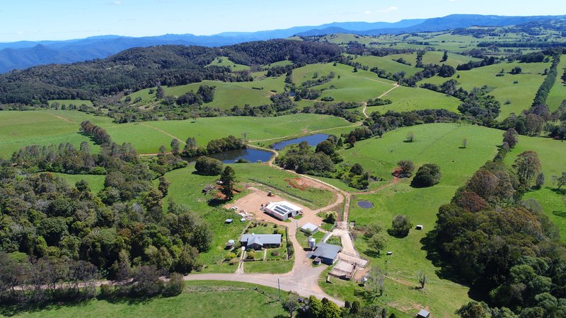 94 Mountain Top Road, Dorrigo NSW 2453