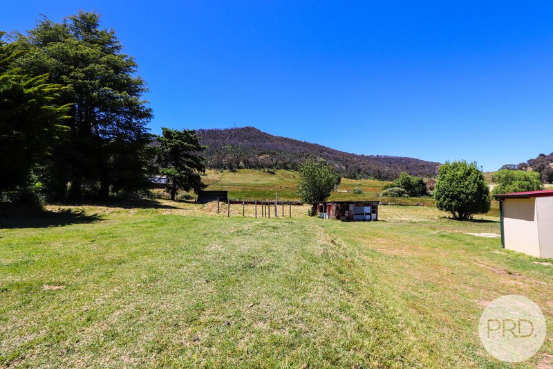 Photo - 94 Pound Creek Road, Tumbarumba NSW 2653 - Image 14