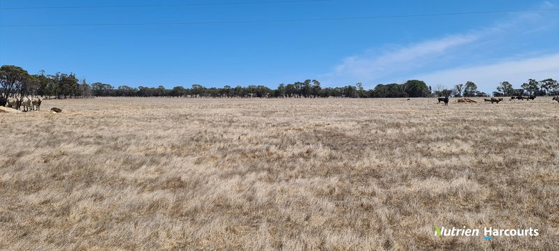 Photo - 94 Tingelup Road, Porongurup WA 6324 - Image 7