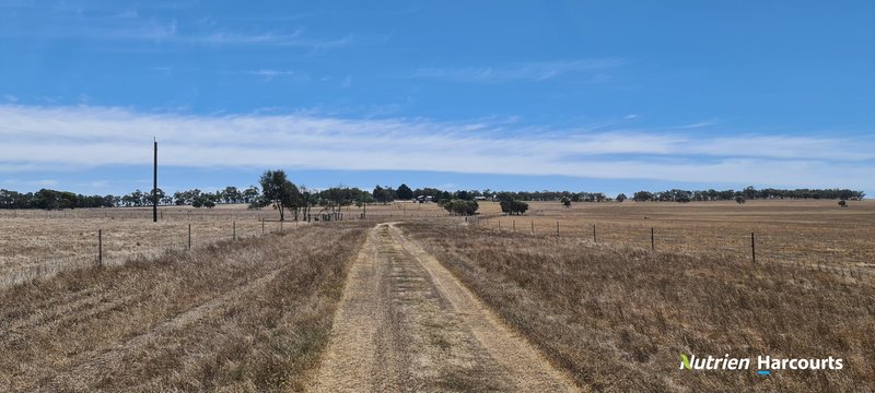 Photo - 94 Tingelup Road, Porongurup WA 6324 - Image 8