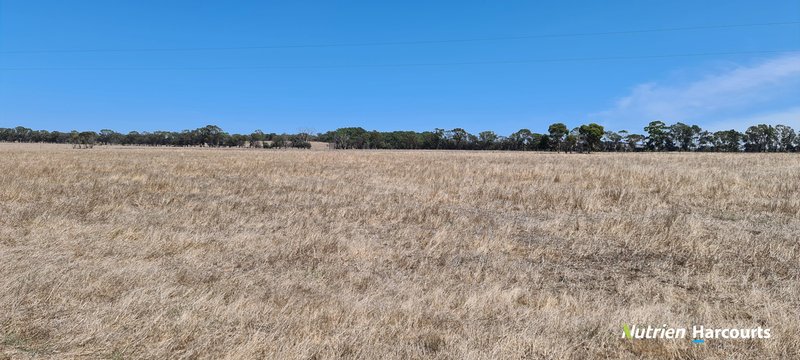 Photo - 94 Tingelup Road, Porongurup WA 6324 - Image 10