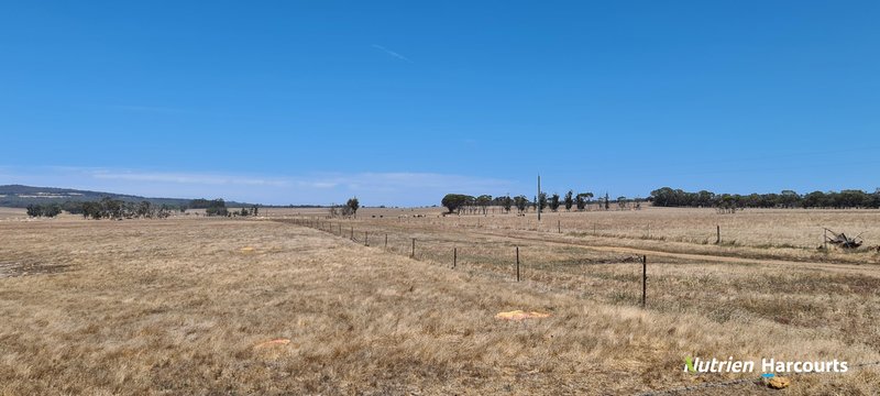 Photo - 94 Tingelup Road, Porongurup WA 6324 - Image 12