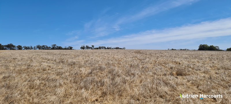 Photo - 94 Tingelup Road, Porongurup WA 6324 - Image 22