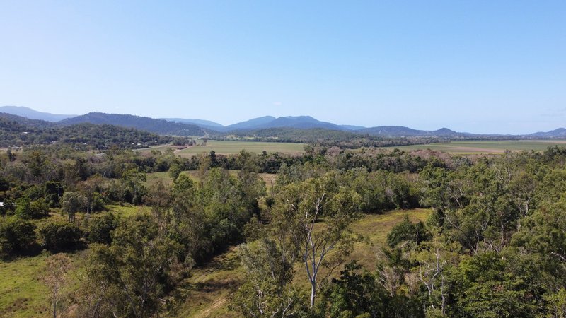 Photo - 94 Tyree Road, Proserpine QLD 4800 - Image 3