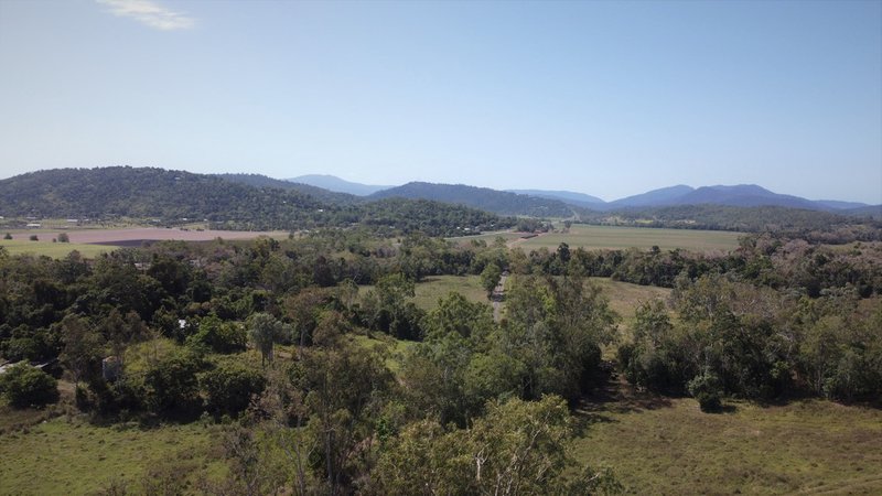 Photo - 94 Tyree Road, Proserpine QLD 4800 - Image 5