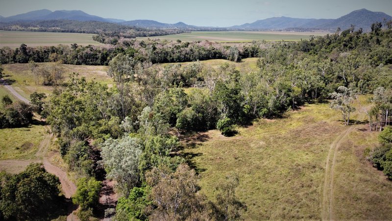 Photo - 94 Tyree Road, Proserpine QLD 4800 - Image 6