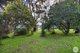 Photo - 94 Water Street, Brown Hill VIC 3350 - Image 6