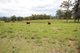 Photo - 94 Youngs Road, Wingham NSW 2429 - Image 5