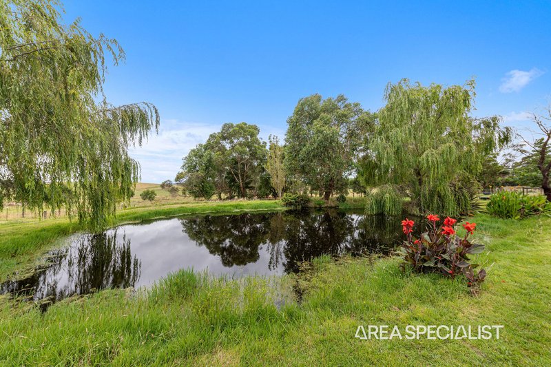 Photo - 940 Mount Lyall Road, Nyora VIC 3987 - Image 18