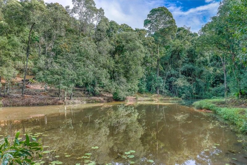 Photo - 9/400 Ruffles Road, Willow Vale QLD 4209 - Image 21