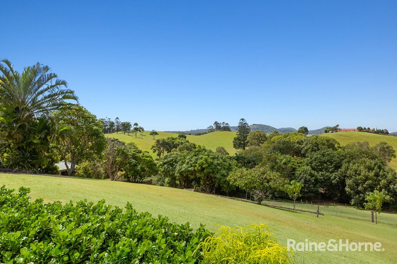 Photo - 943 Pottsville Road, Cudgera Creek NSW 2484 - Image 23