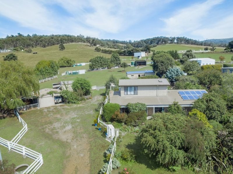 Photo - 945 Glen Huon Rd , Glen Huon TAS 7109 - Image 6