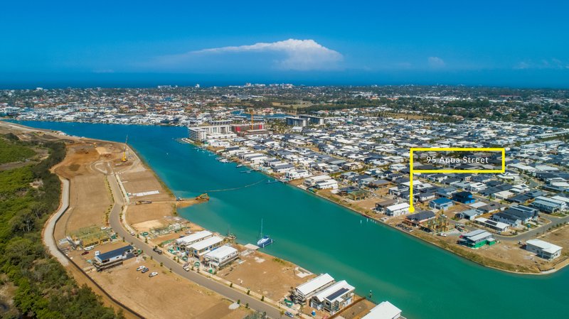 Photo - 95 Aqua Street, Newport QLD 4020 - Image 1