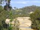 Photo - 95 Argonaut Road, St Helens TAS 7216 - Image 10