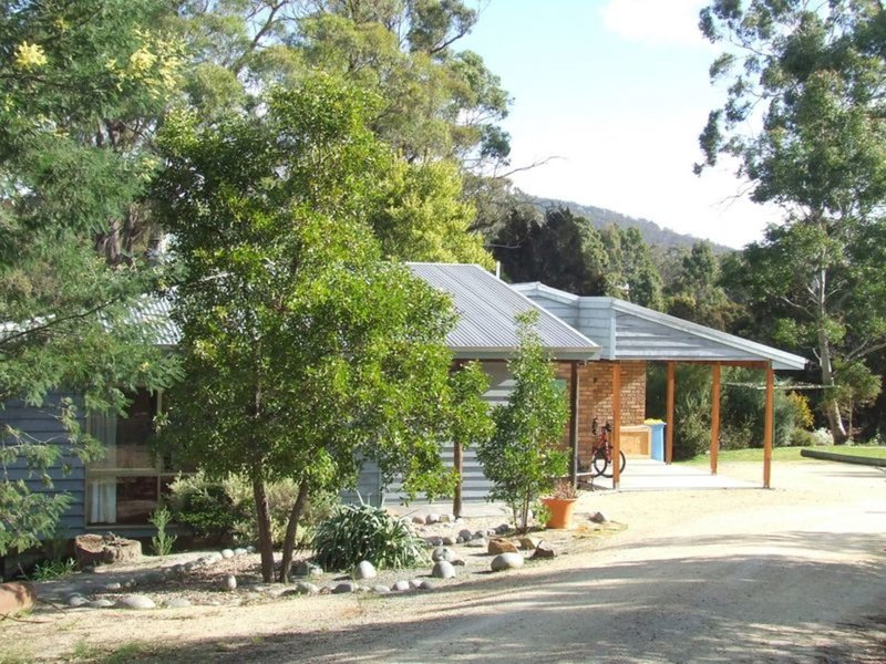 Photo - 95 Argonaut Road, St Helens TAS 7216 - Image 12