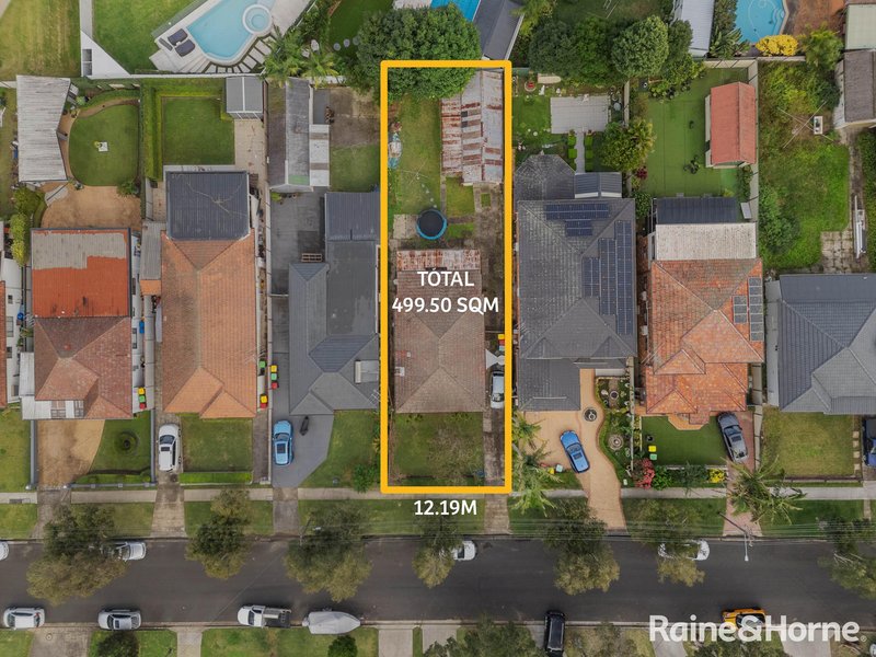 Photo - 95 Armitree Street, Kingsgrove NSW 2208 - Image 3