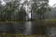 Photo - 95 Berlang Forest Rd , Majors Creek NSW 2622 - Image 18