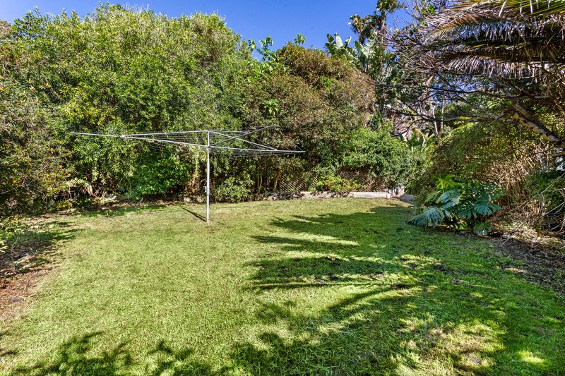 Photo - 95 Bower Street, Manly NSW 2095 - Image 5