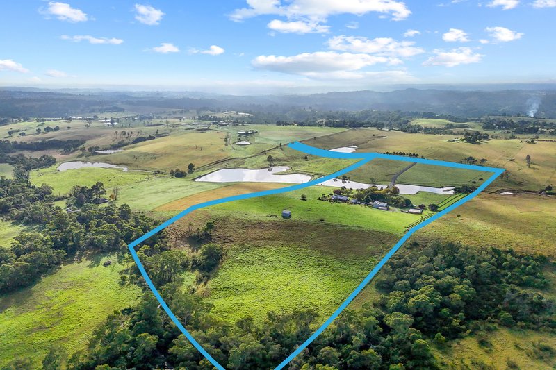 Photo - 95 Craigend Road, The Oaks NSW 2570 - Image 5