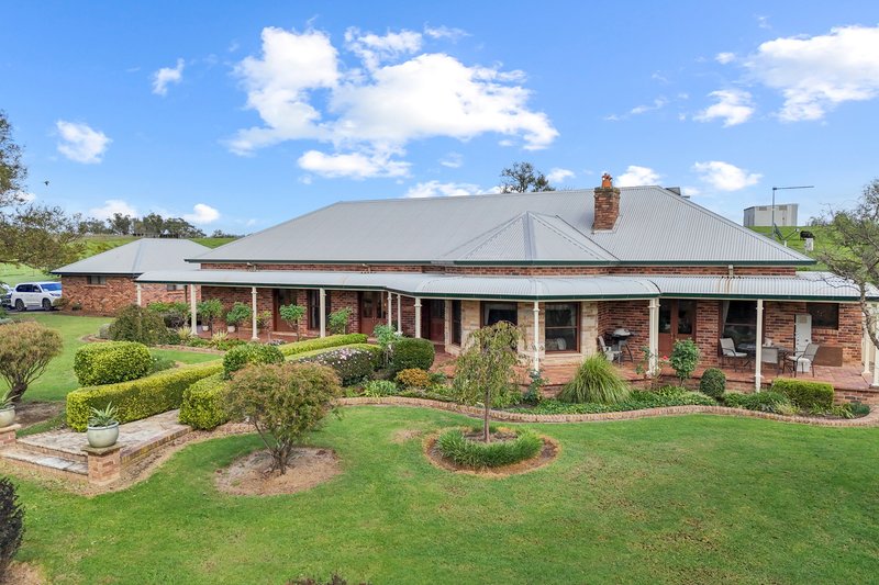 Photo - 95 Craigend Road, The Oaks NSW 2570 - Image 7
