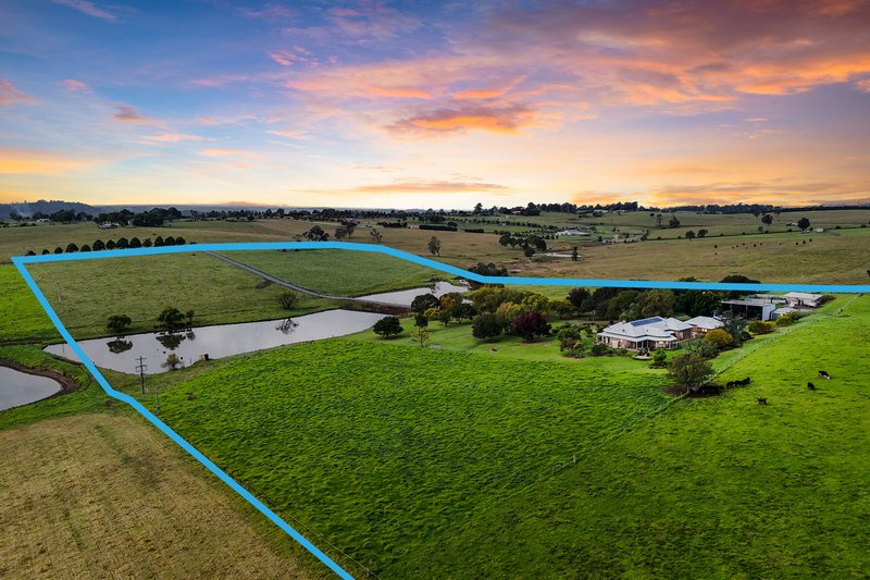 Photo - 95 Craigend Road, The Oaks NSW 2570 - Image 8