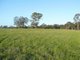 Photo - 95 Great Southern Road, Bargo NSW 2574 - Image 5