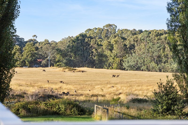 Photo - 95 High Street, Trentham VIC 3458 - Image 15