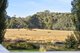 Photo - 95 High Street, Trentham VIC 3458 - Image 15