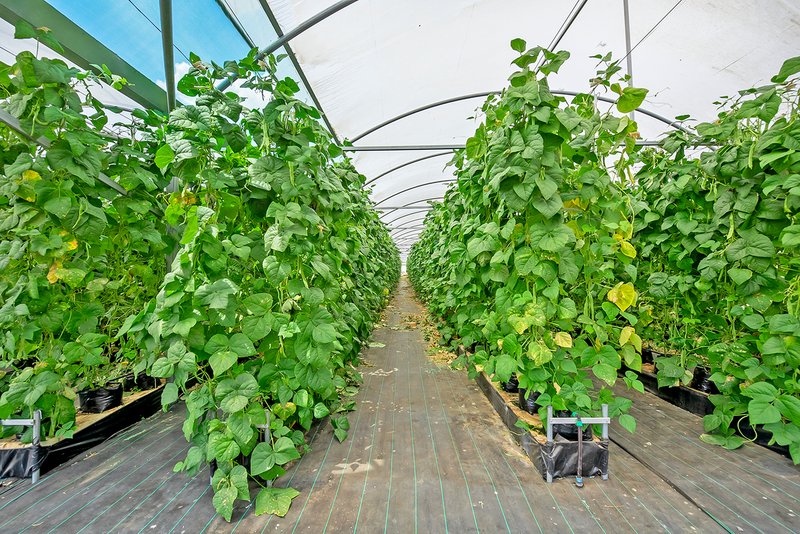 Photo - 95 Lee And Clark Road, Kemps Creek NSW 2178 - Image 17