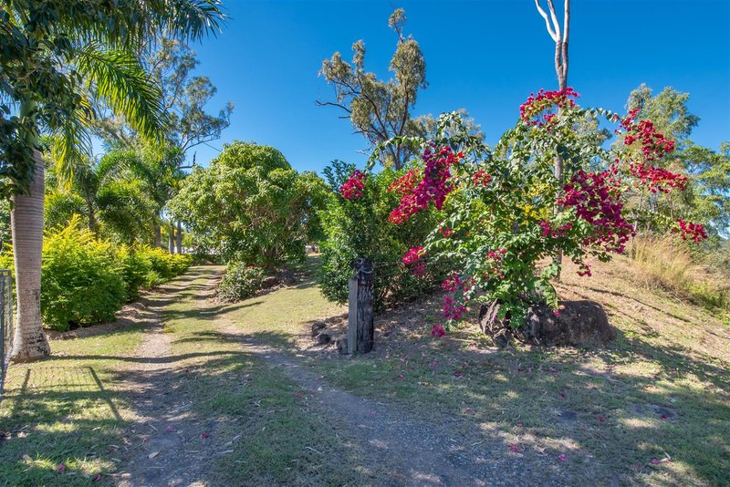 Photo - 95 Lelona Drive, Bloomsbury QLD 4799 - Image 18