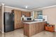 Photo - 95 Lord Howe Drive, Ashtonfield NSW 2323 - Image 4