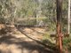 Photo - 95 Mcgills Road, Kremnos NSW 2460 - Image 12