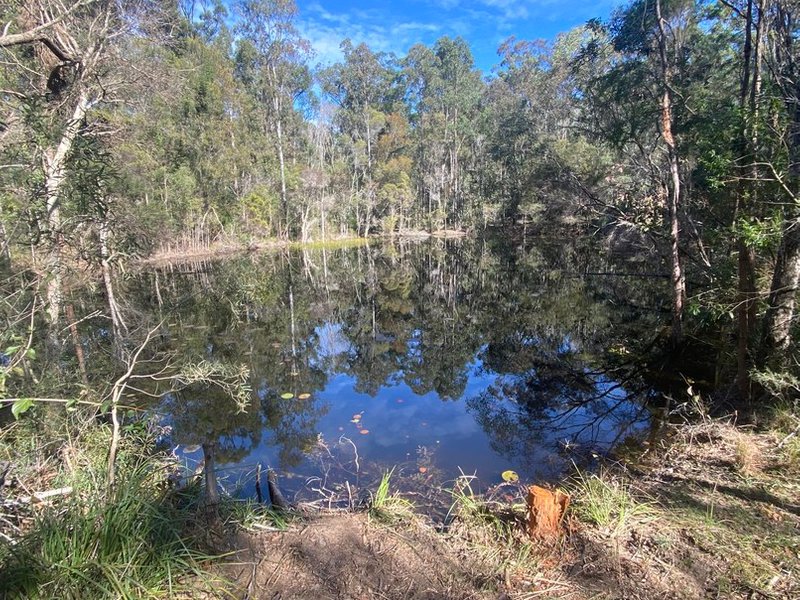 Photo - 95 Mcgills Road, Kremnos NSW 2460 - Image 14