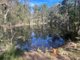 Photo - 95 Mcgills Road, Kremnos NSW 2460 - Image 14