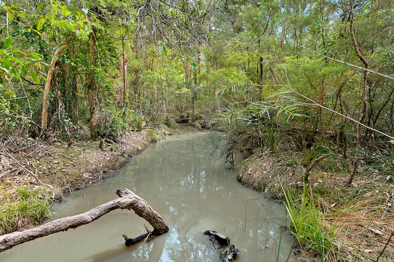 Photo - 95 Miles Drive, Herons Creek NSW 2439 - Image 18