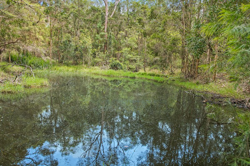 Photo - 95 Miles Drive, Herons Creek NSW 2439 - Image 19