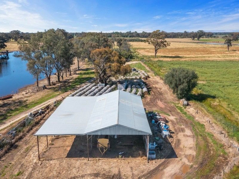 Photo - 95 Mulcahy Road, Tatura VIC 3616 - Image 13