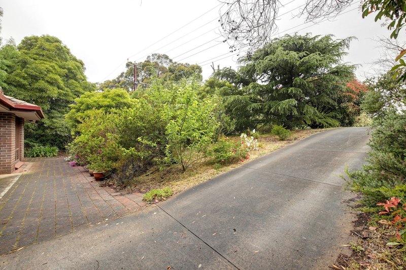 Photo - 95 Onkaparinga Road, Bridgewater SA 5155 - Image 3