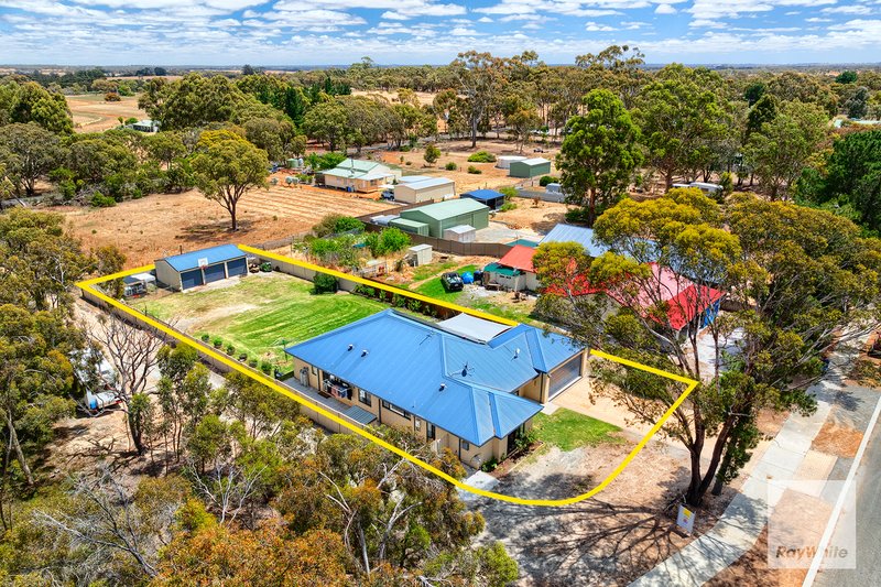 Photo - 95 Seventh Avenue, Kendenup WA 6323 - Image 22