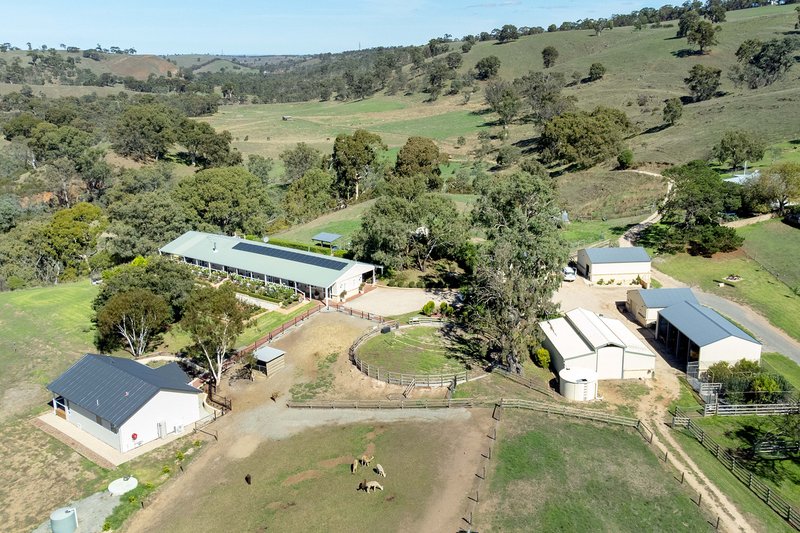 Photo - 95 Smyth Road, Dawesley SA 5252 - Image 3