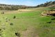 Photo - 95 Smyth Road, Dawesley SA 5252 - Image 31