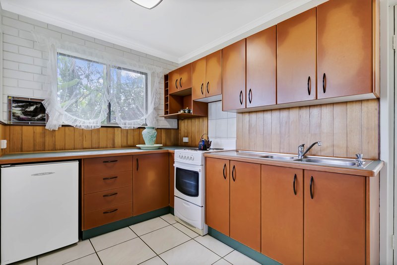 Photo - 95 William St , Buderim QLD 4556 - Image 14