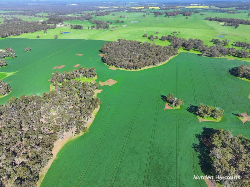 Photo - 950 Bokerup Road, Frankland River WA 6396 - Image 9