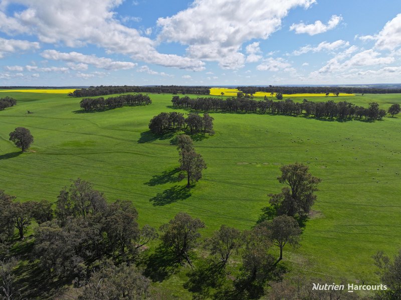 Photo - 950 Bokerup Road, Frankland River WA 6396 - Image 11