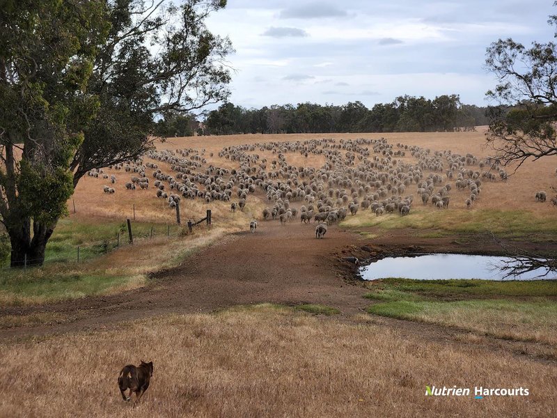 Photo - 950 Bokerup Road, Frankland River WA 6396 - Image 10