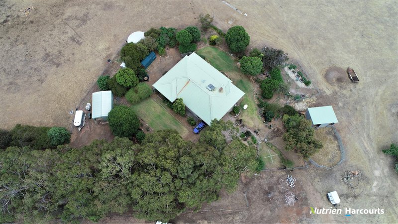 Photo - 950 Bokerup Road, Frankland River WA 6396 - Image 12