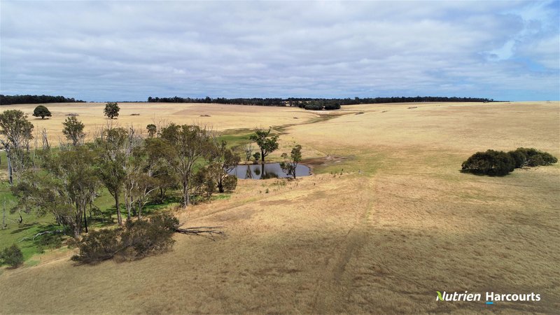 Photo - 950 Bokerup Road, Frankland River WA 6396 - Image 16