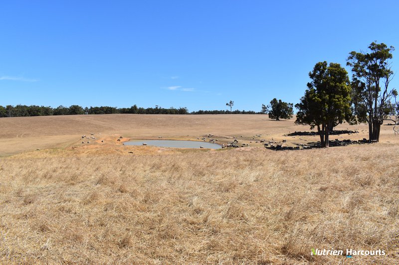 Photo - 950 Bokerup Road, Frankland River WA 6396 - Image 20